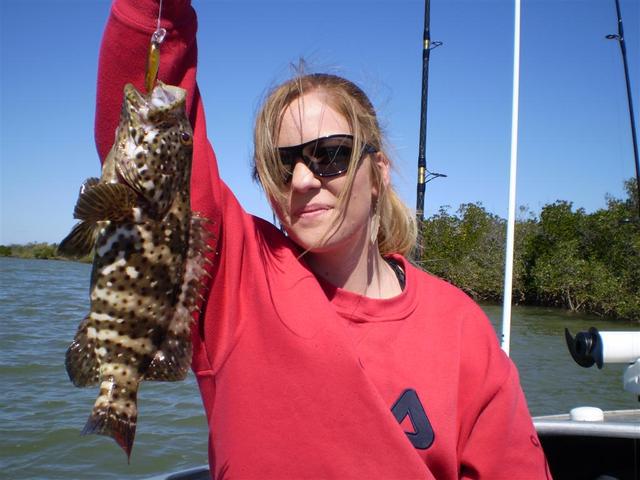 Estuary Cod x 2